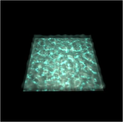 Image of a more visualy interesting caustic formed by water